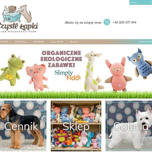 Strzyżenie maltańczyka - Warszawa