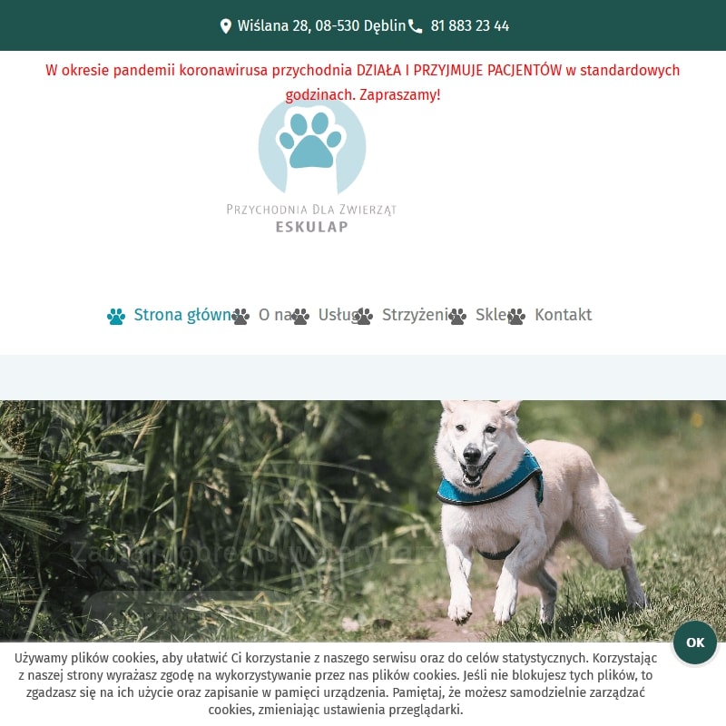 Morfologia krwi psa - Dęblin