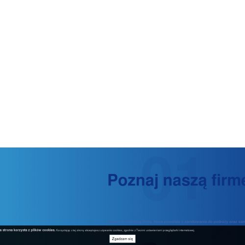 Volkswagen grand california wypożyczalnia w Katowicach