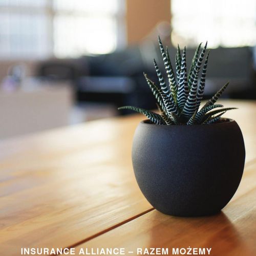 Gdańsk - agent ubezpieczeniowy jak zacząć