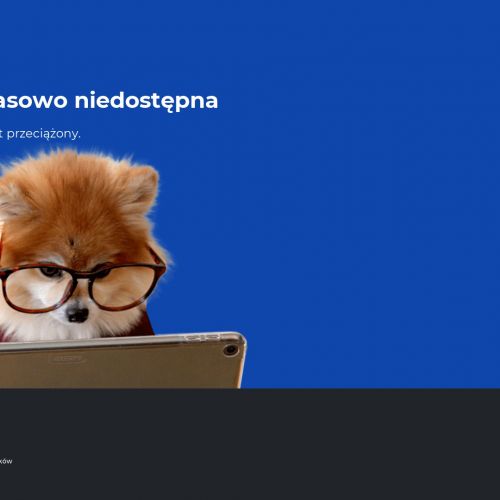 Deratyzacja Warszawa