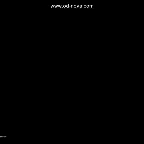 Obóz sportowy dla dorosłych