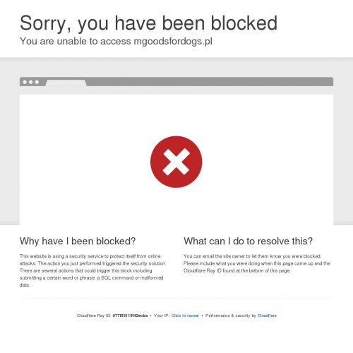 Pokusa suplementy dla psa