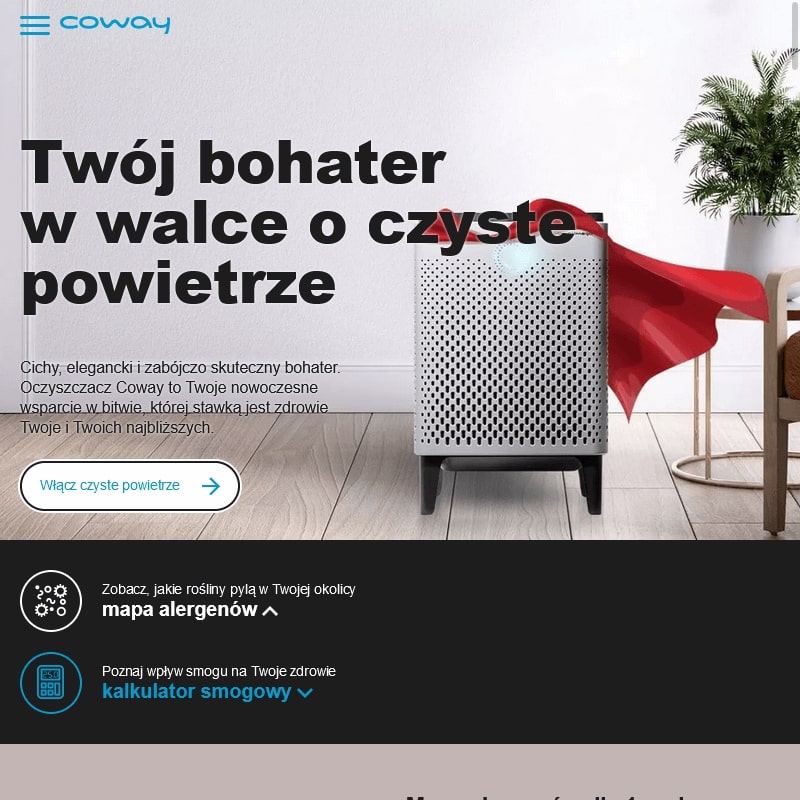 Oczyszczacz coway storm