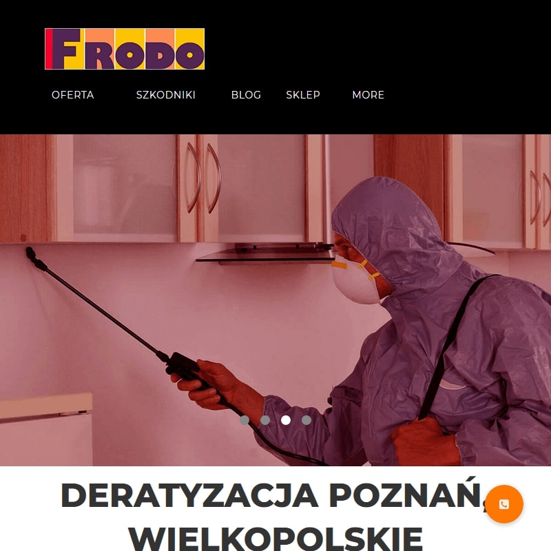 Ochrona przed ptakami w Poznaniu