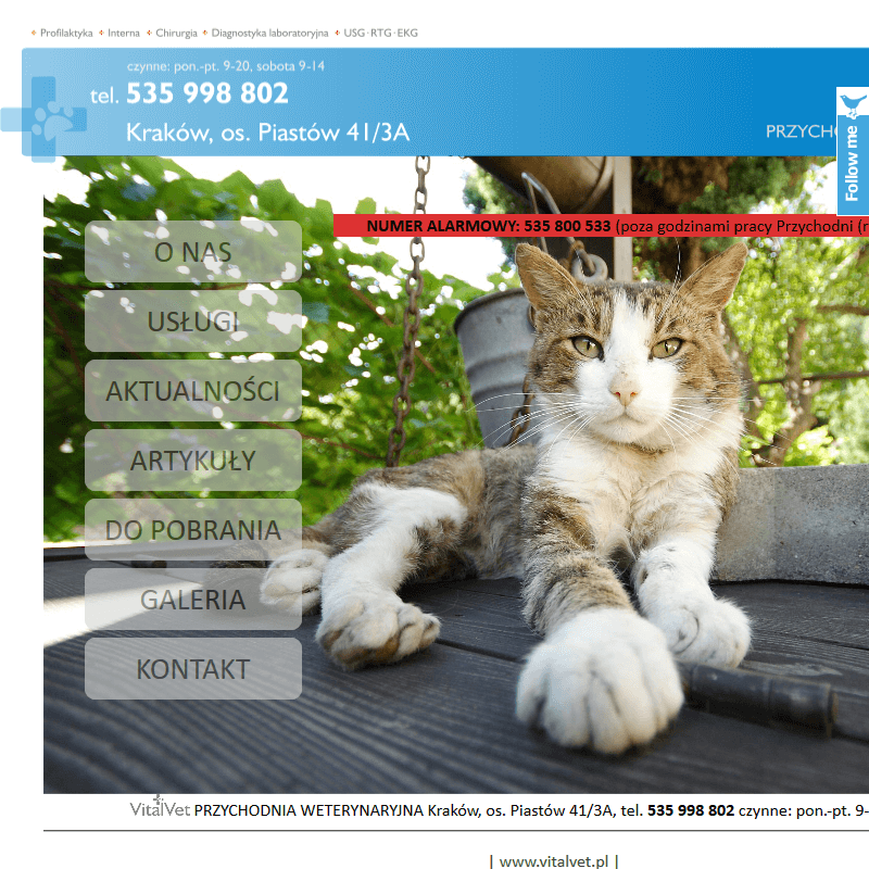 Lekarz dla zwierząt - Wieliczka